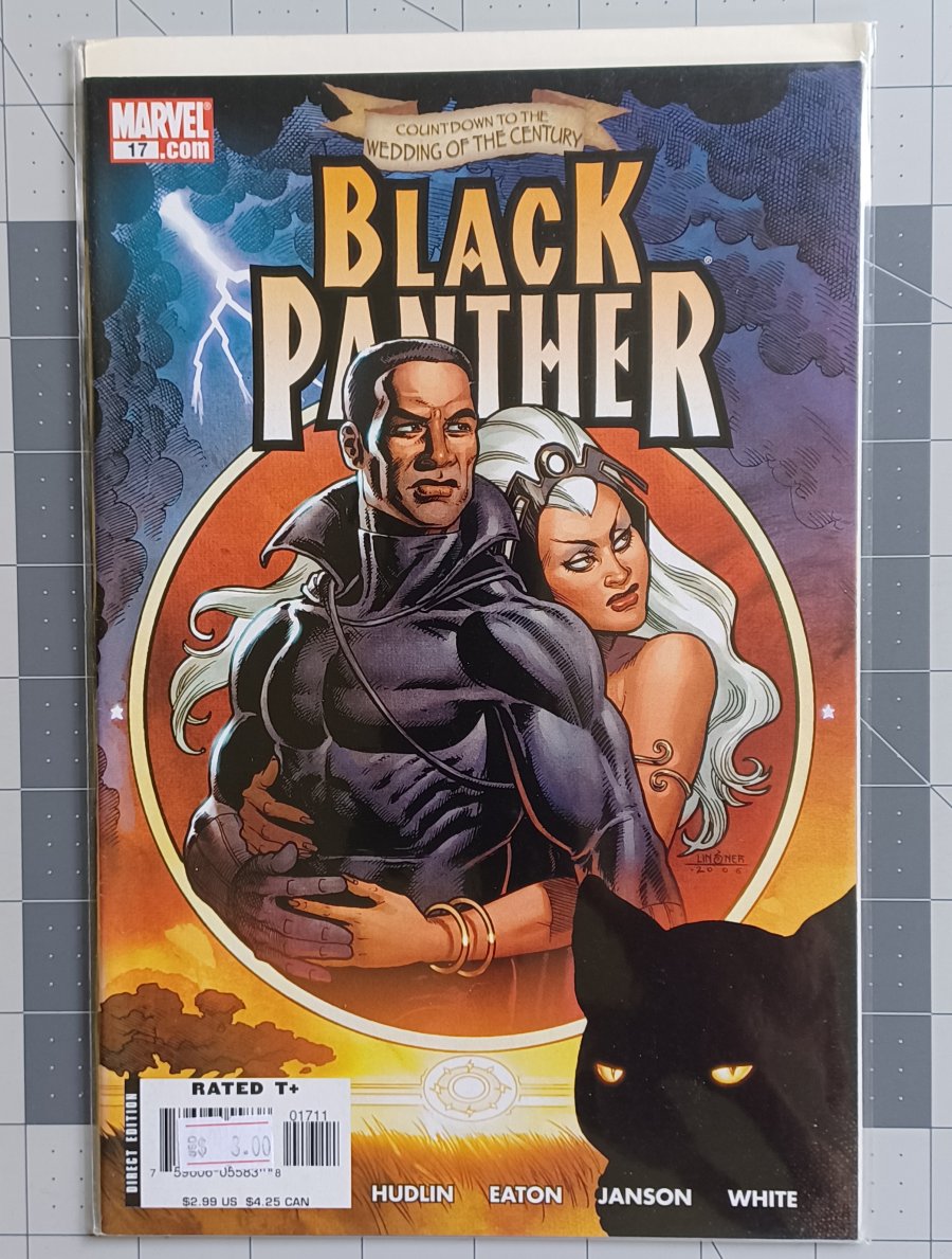 Black Panther #17 (2006) - Marvel Comics
